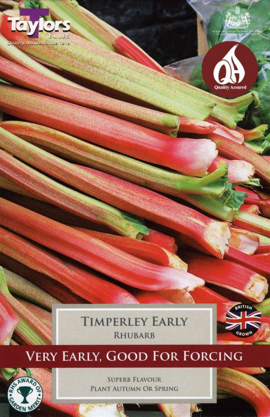 Rhubarb Crown "Timperley Early"